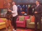 Mira a Karla bailando salsa con Adrian Grenier de 'Entourage'