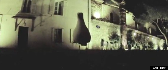 Seagull Steals Camera Video