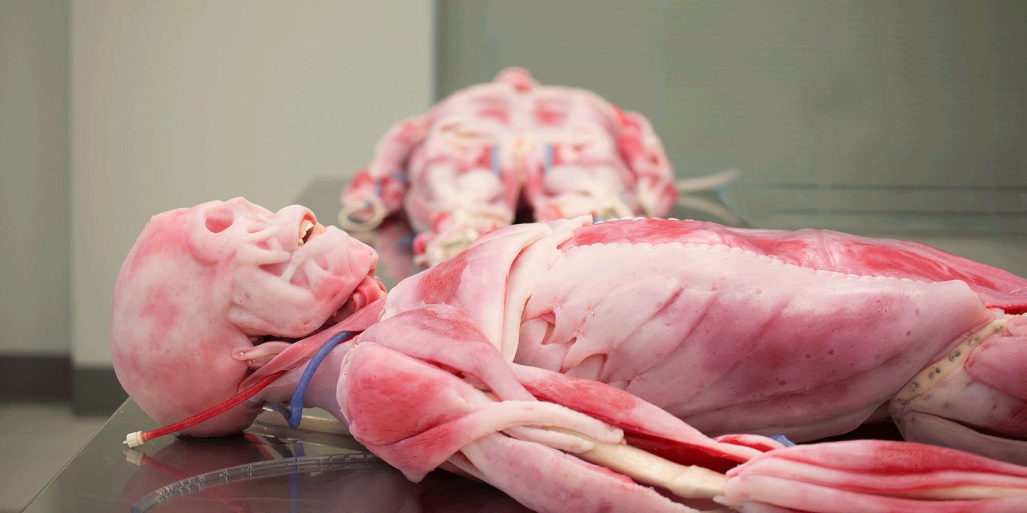 Synthetic Cadavers Offer An Equally Creepy Alternative To The Real