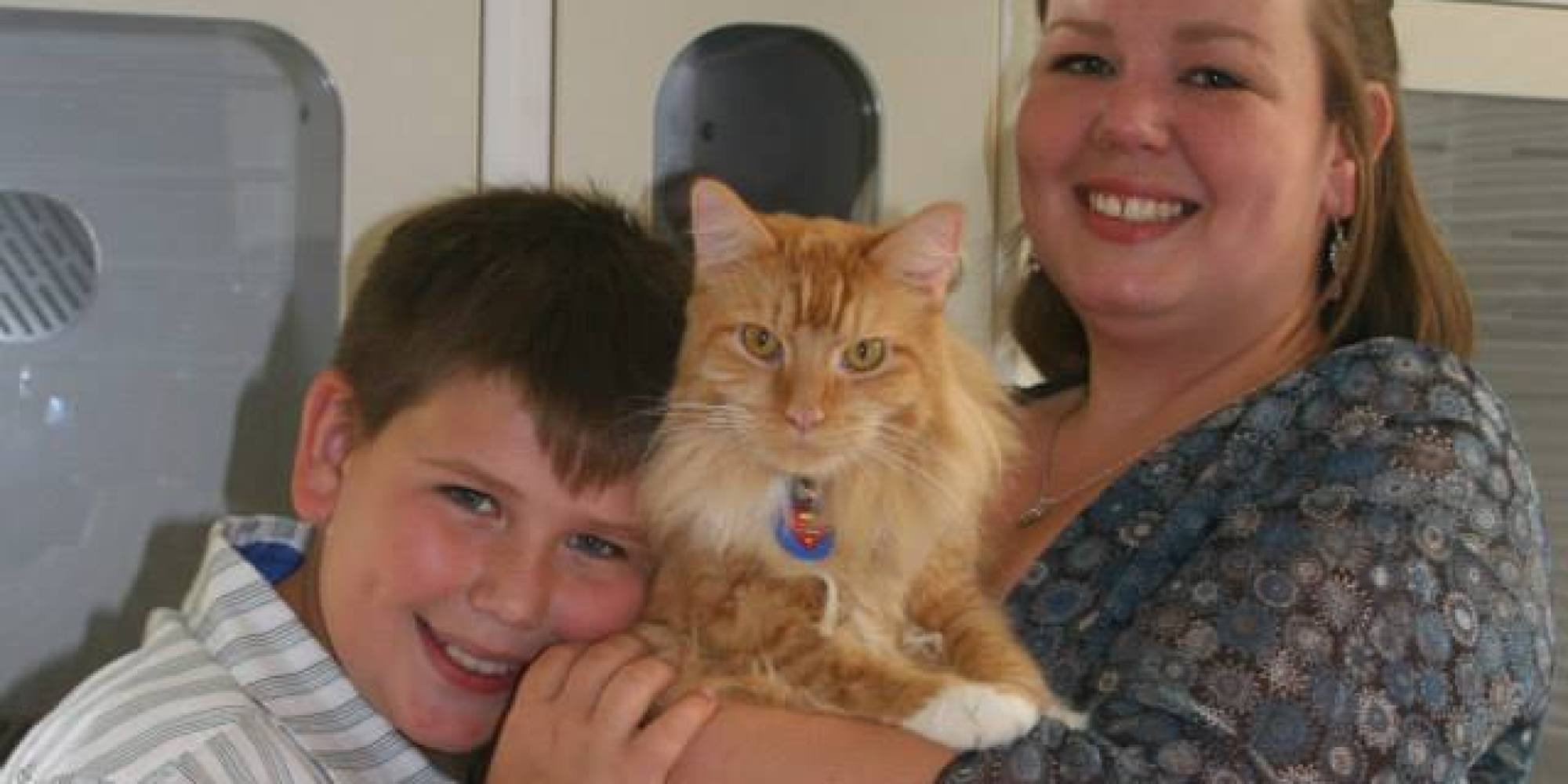 Why This Domestic Violence Center's Pet Shelter Is Crucial For Both