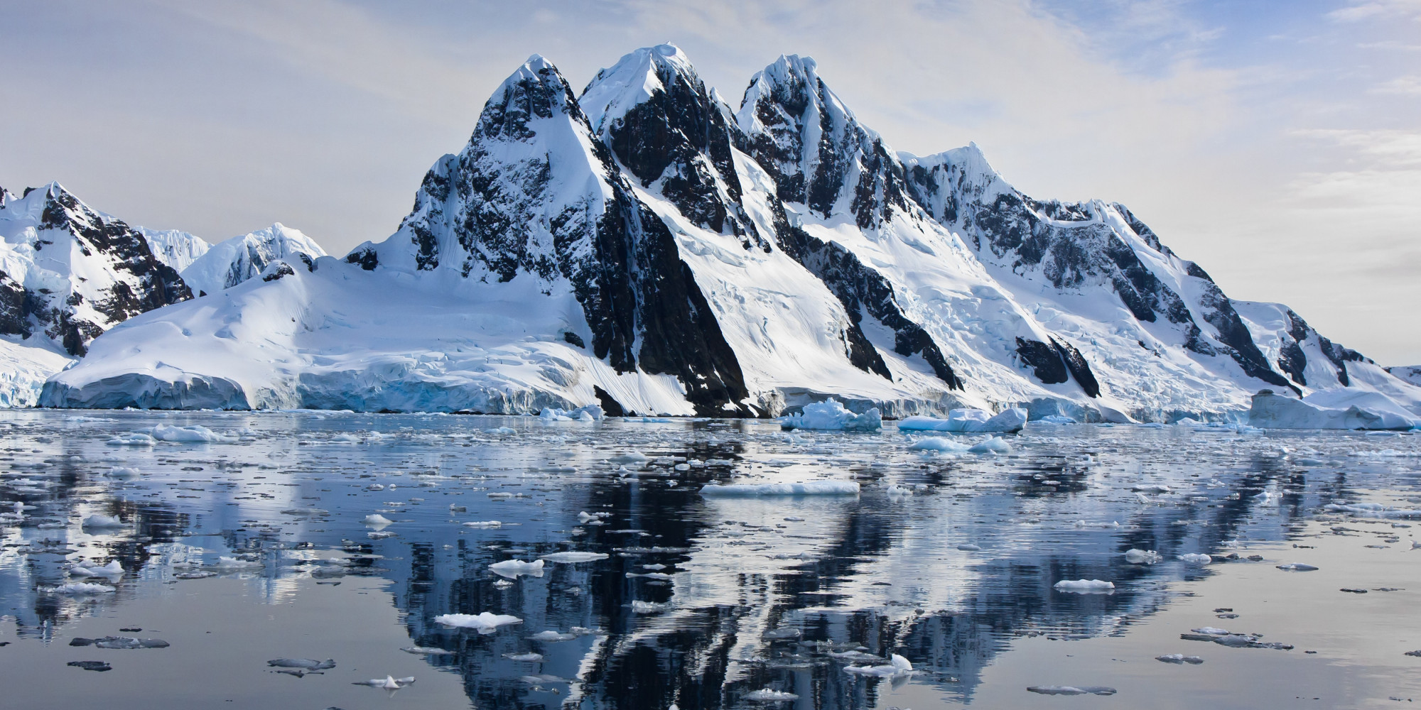 The Arctic Ocean And Wildlife Warrant Special International Protection