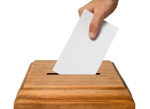 n-VOTER-large300.jpg