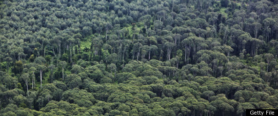 Unesco Endangered World Heritage Sites
