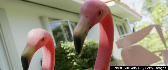 the american view on the plastic pink flamingo in the plastic pink flamingos a natural history an es Quite some time ago, i did a blog post about my flamingo collection and recently my friend, gail, sent me this article that appeared in the mental floss blog about the history of the pink plastic flamingo well several years ago when peter was selling antiques in chelsea, one day he saw this couple walking towards his booth. the american view on the plastic pink flamingo in the plastic pink flamingos a natural history an es Quite some time ago, i did a blog post about my flamingo collection and recently my friend, gail, sent me this article that appeared in the mental floss blog about the history of the pink plastic flamingo well several years ago when peter was selling antiques in chelsea, one day he saw this couple walking towards his booth.