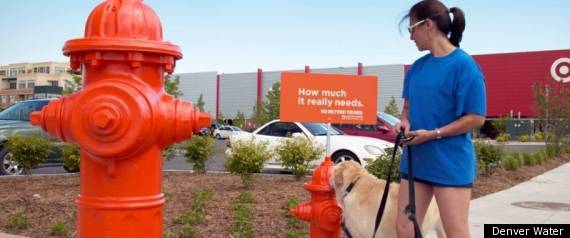 Fire Hydrant