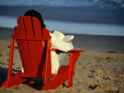 8 Books To Read At The Beach