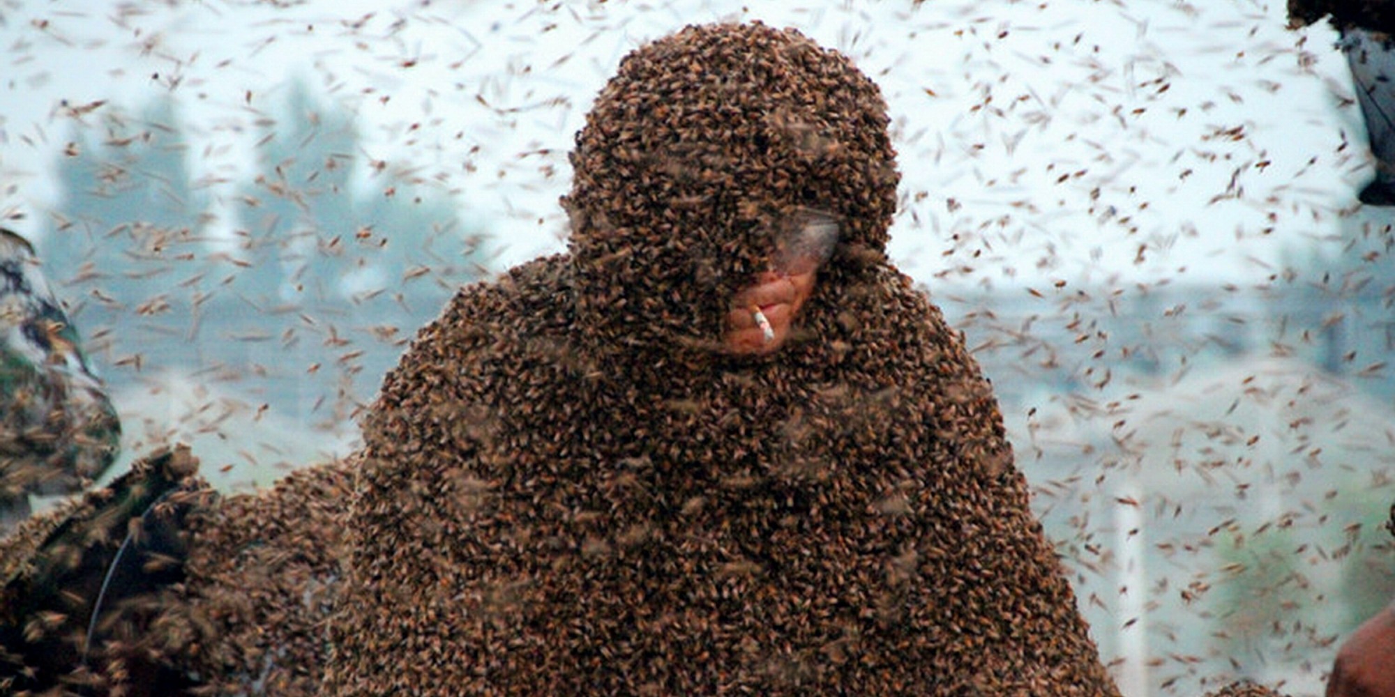 Man Wears Suit Made Of 11 Million Bees In Attempt To Set World Record Huffpost
