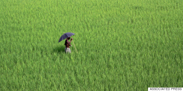 This Indian Foundation Is Protecting Wilderness and Helping Farmers