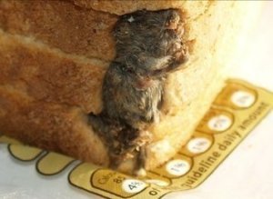 Gross Things In Food Mealbreakers