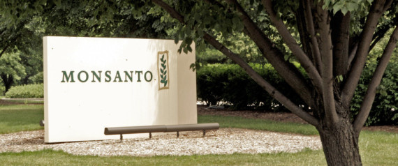 Monsanto Roundup
