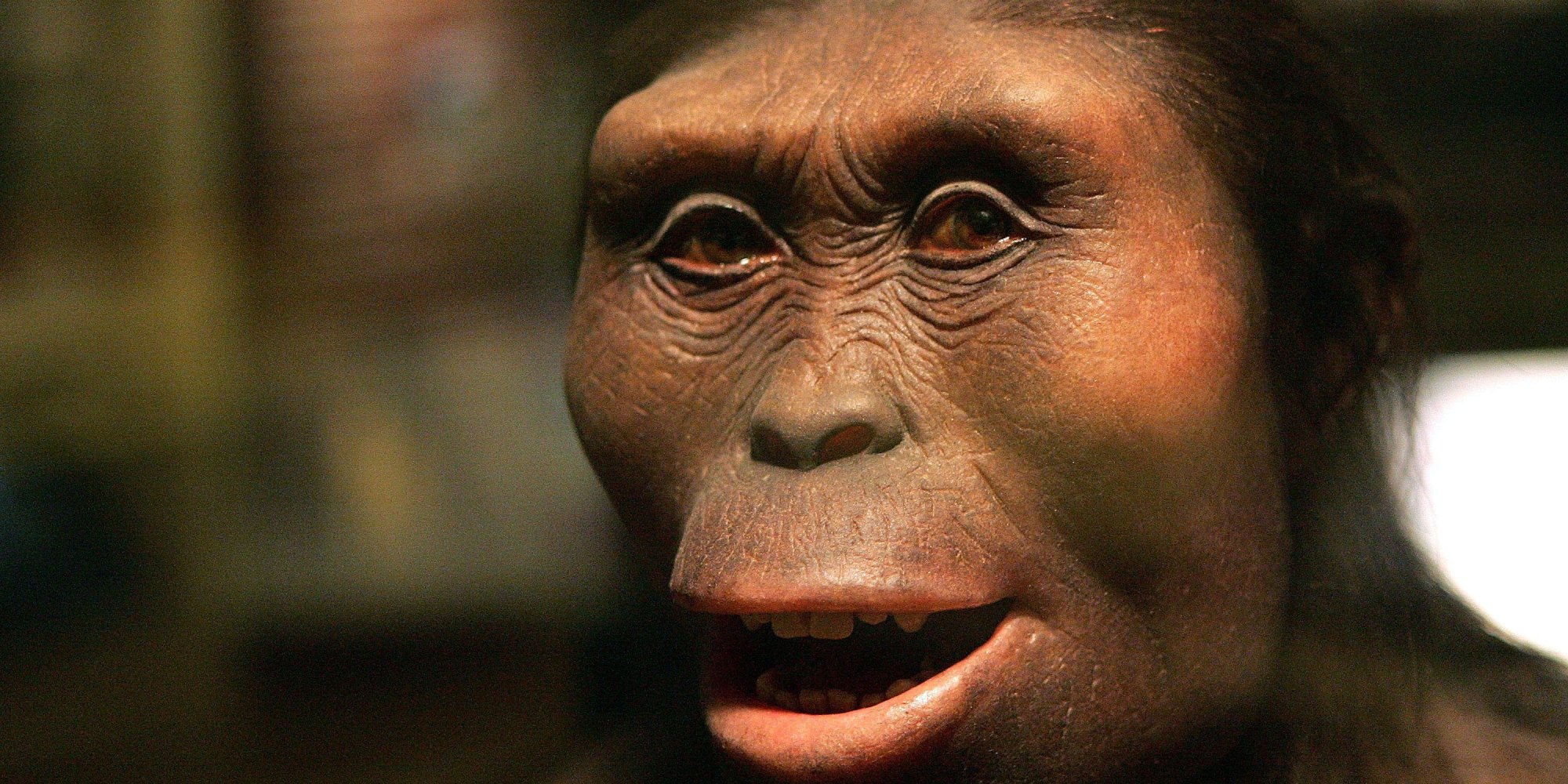 new-ancient-human-species-discovered-by-scientists-huffpost-uk