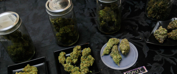 Medical Marijuana Federal Law