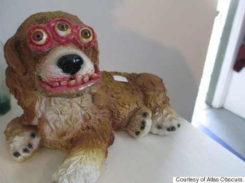 Happy Obscura Day! Who Wants To Play With This 3-Eyed Dog?