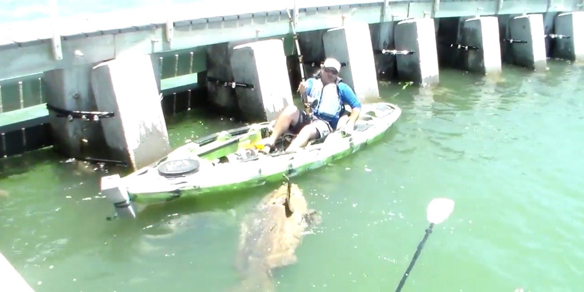 Florida Man Is Super Excited About Catching A 552Pound Goliath Grouper
