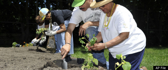 Un Sustainable Food Production