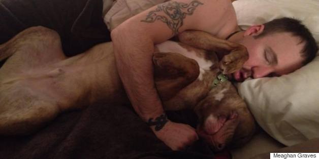 Pit Bull Rescued From High-Kill Shelter Really Loves Snuggling