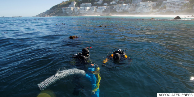 Slave Ship Wreck Discovered Off Coast Of Cape Town