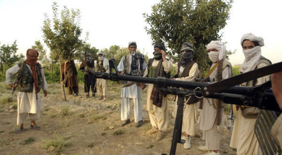 Talibanback