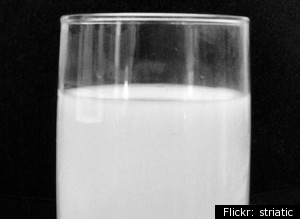 antibiotics in milk