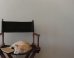 This V. Wise Cat Understands How Hard It Is To Be An Artist Today