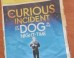 5 Truths from 'The Curious Incident of the Dog in the Nighttime'
