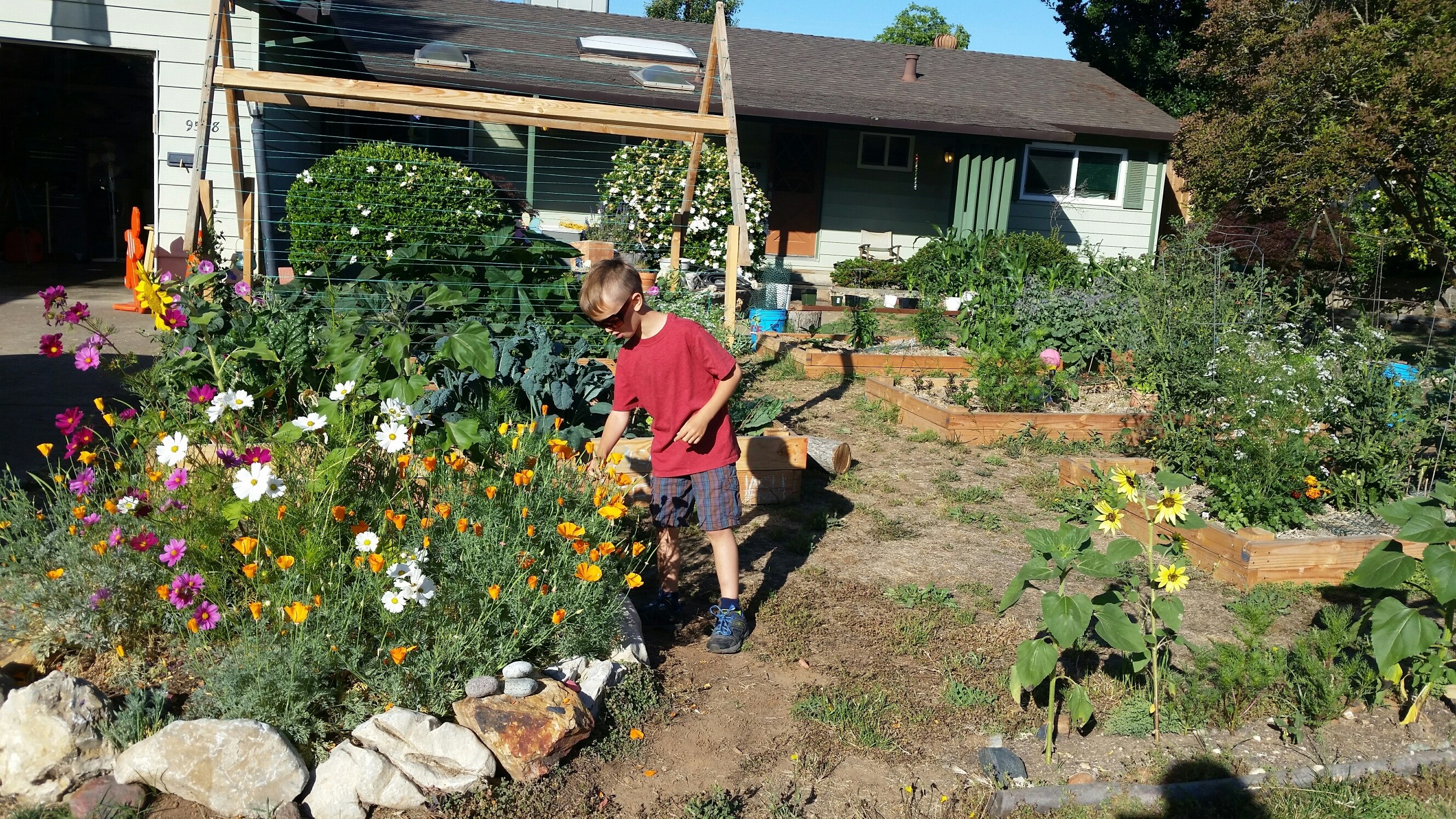 lawn garden