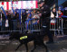 nypd