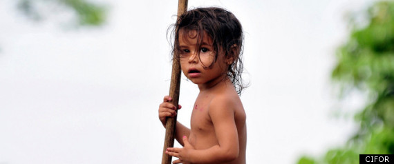 Amazon Rainforest Protection