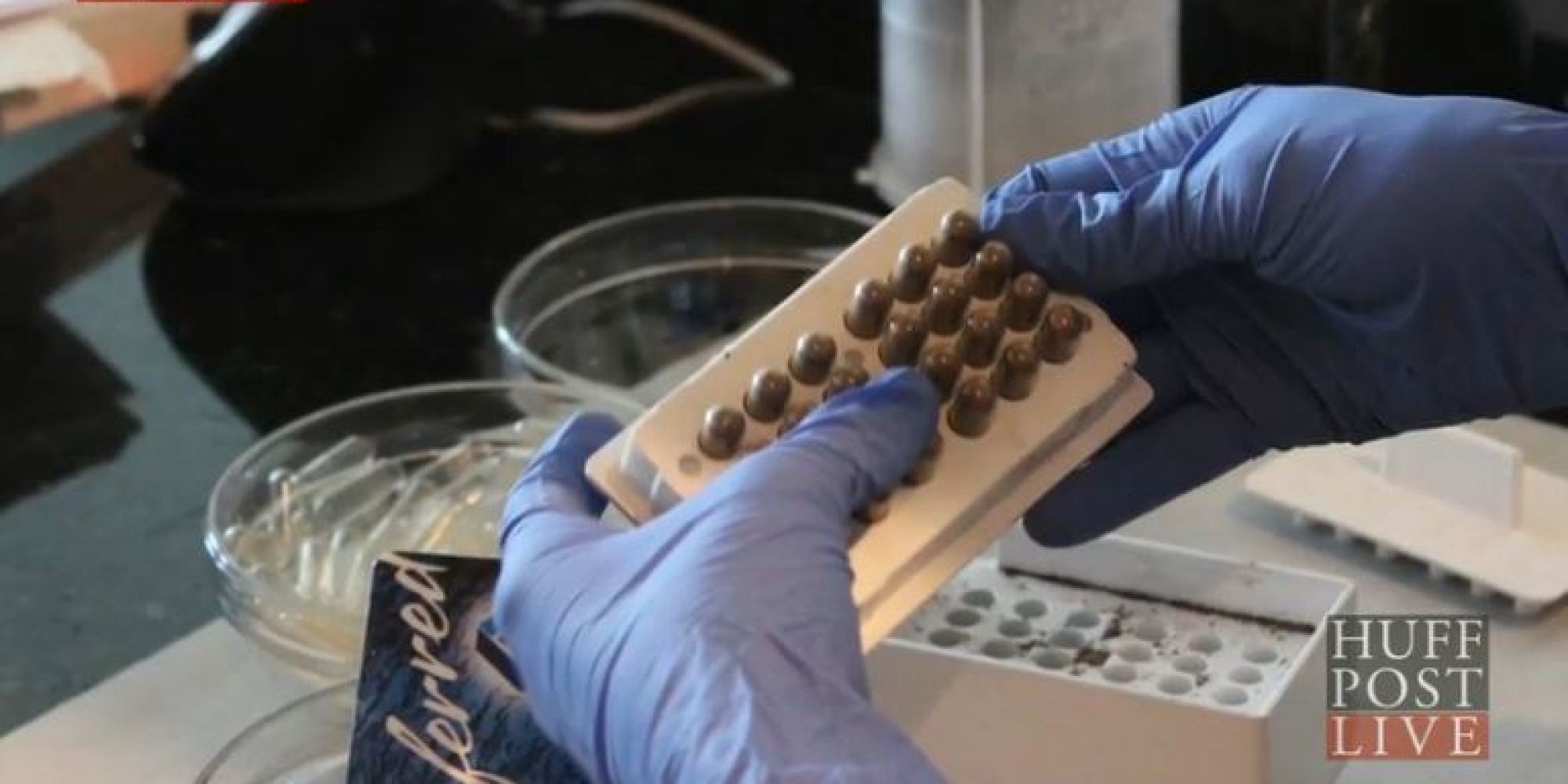 Placenta Pills What Expectant Moms Should Know