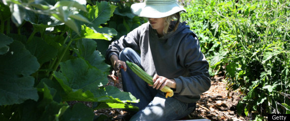 Gardening Health