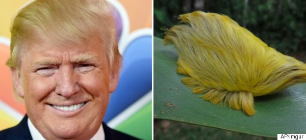 HuffPost Weird News - Strange-But-True Stories from the Headlines