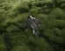 This Is What Happens When Photographers Go Green -- Literally