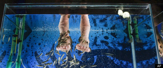 Fish Pedicure