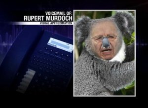 Murdoch Koala