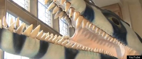 Pliosaur Illustration