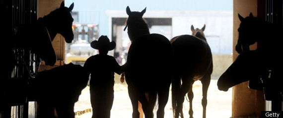 Stampede