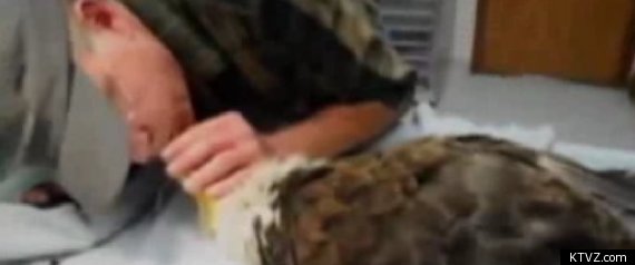 Eagle Cpr