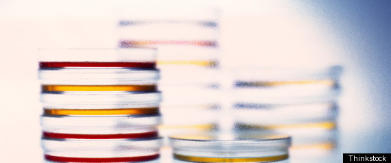 Israel Ivf