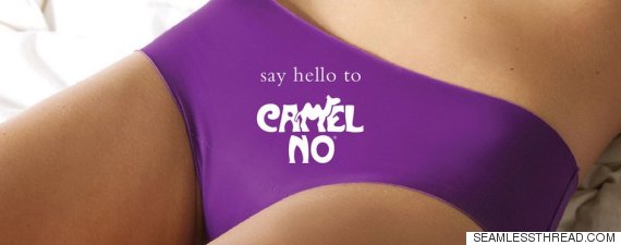 camel no