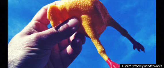 Rubber Chicken