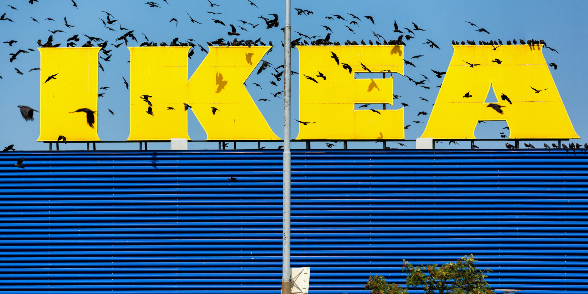 IKEA UK Store Locations To Increase With Smaller Click And Collect High