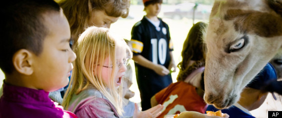 Kids Farm