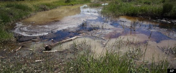 Yellowstone Oil Spill