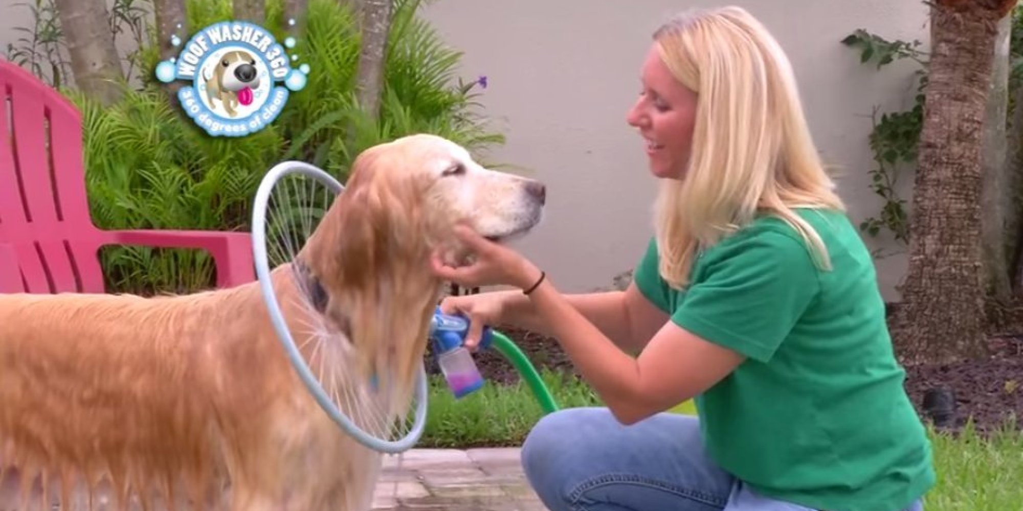 This Is Definitely The Funniest Way To Wash Your Dog