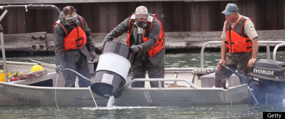 Asian Carp Chemicals