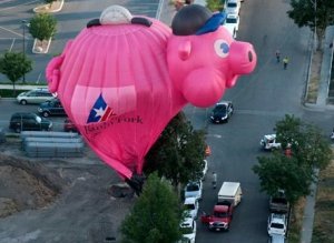 Pig Balloon Crash