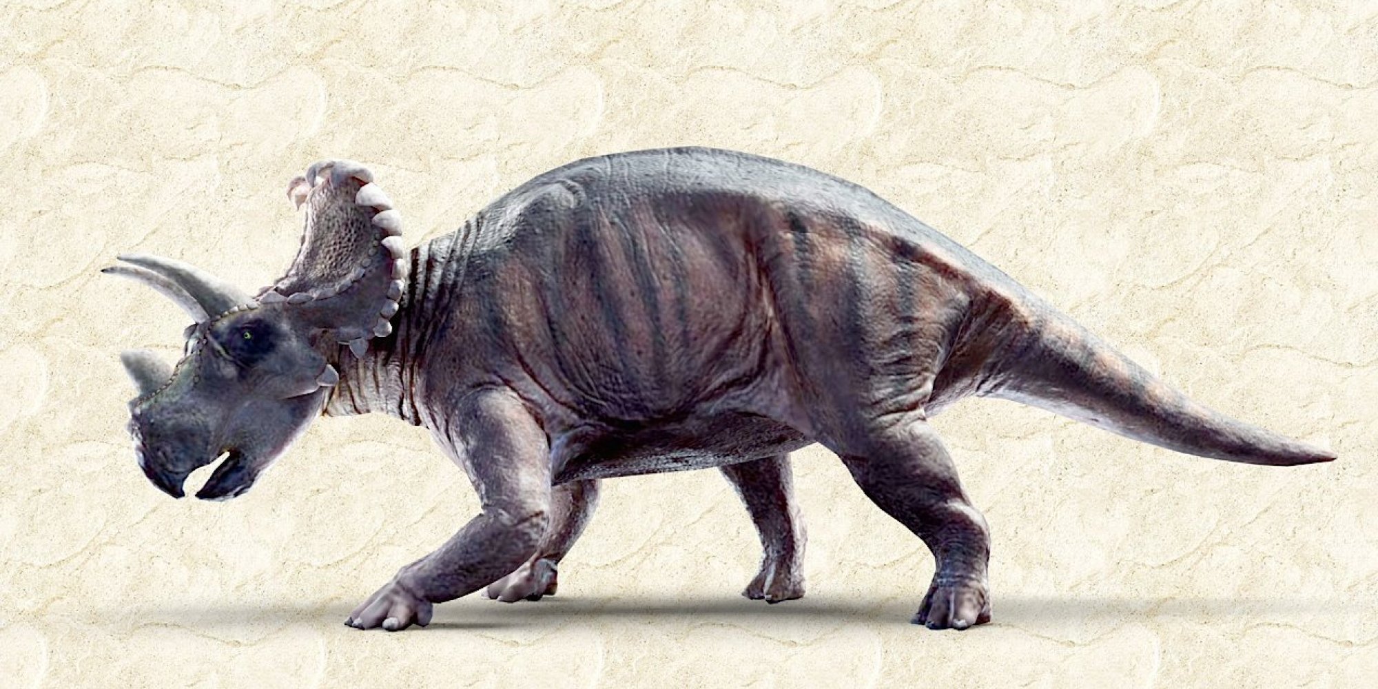 six horned dinosaur