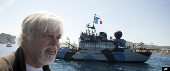 Whale Wars