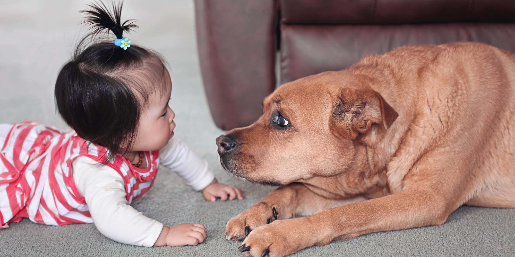 12 Baby Names Inspired By Animals HuffPost