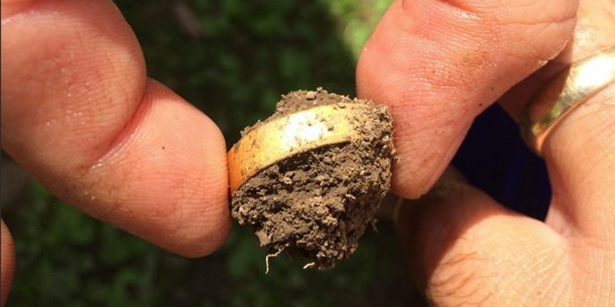 Man Finds Lost Wedding Ring After 15 Years While